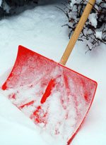 Bonne Mardi Snow-shovel1